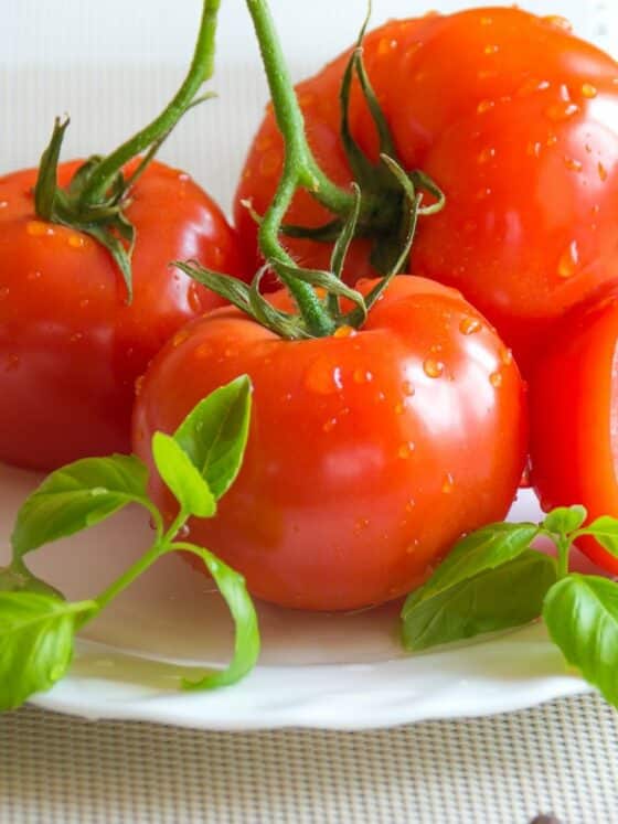vegan tomato choice